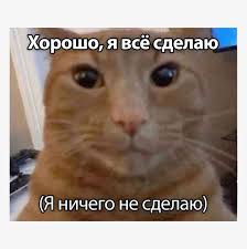 Котик 2